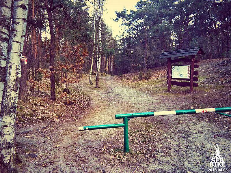 Kampinos