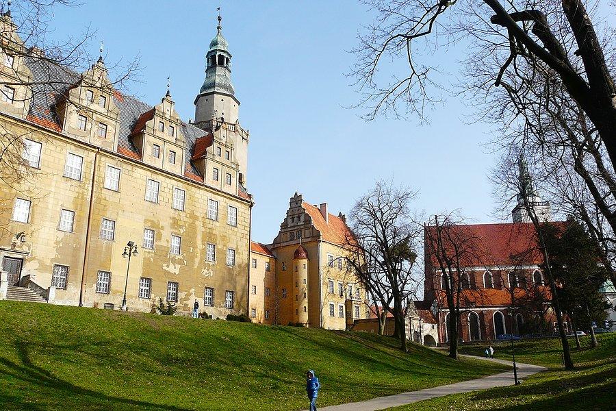 Oleśnica, zamek