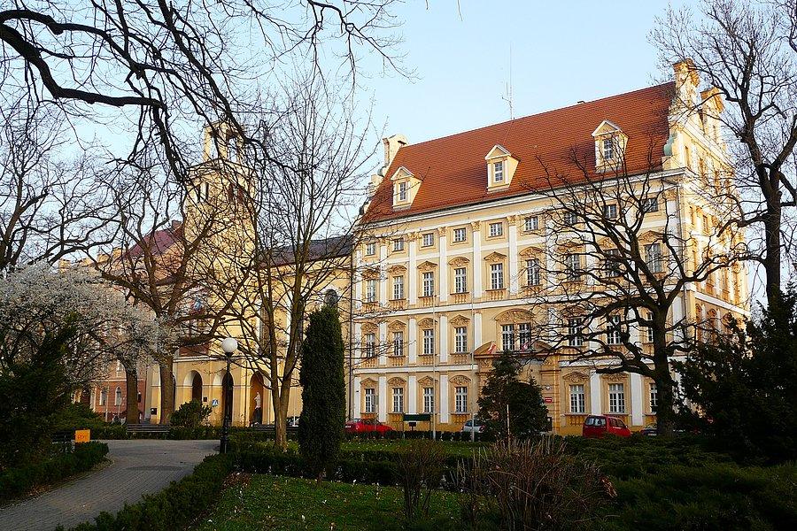 Oława, zamek