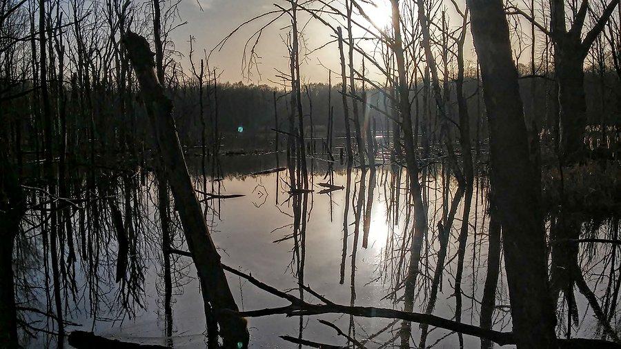 Uroczysko Buczyna