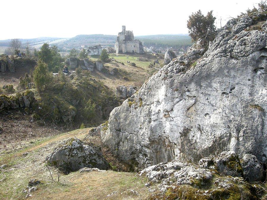 W dali zamek w Mirowie