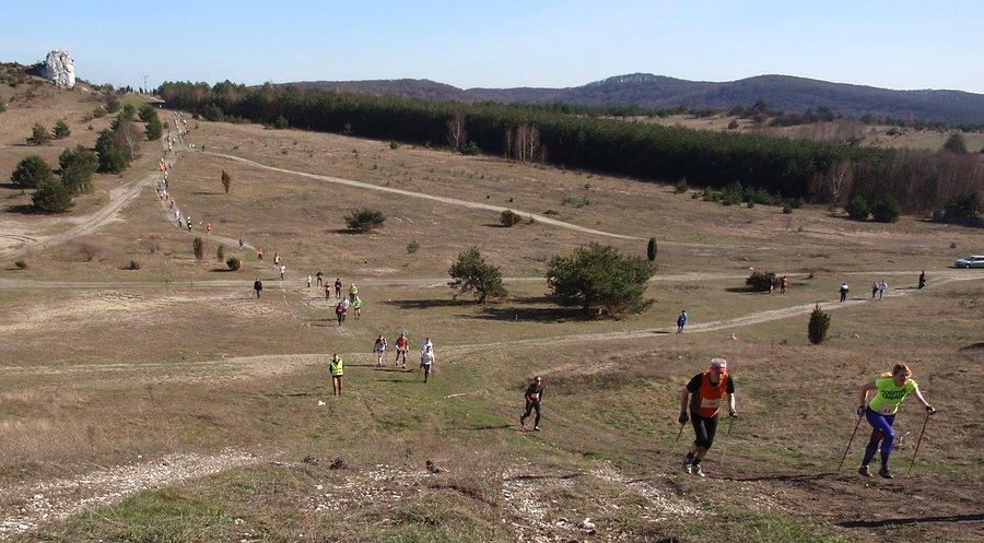 VI Jurajski Puchar Nordic Walking - 1 etap w Olsztynie
