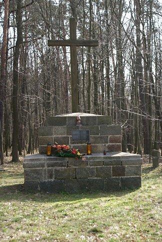 PK 38 - Witkowice - jeden z największych cmentarzy z czasów I wojny światowej w okolicach Łodzi zajmuje fragment Lasu Pustułka