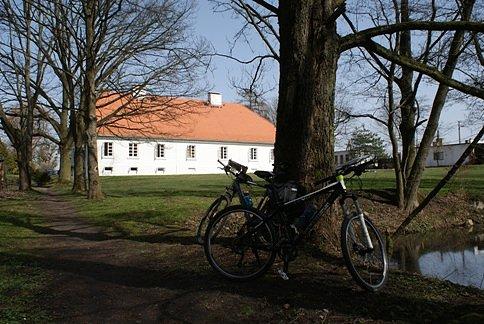 W parku podworskim w Byszewach