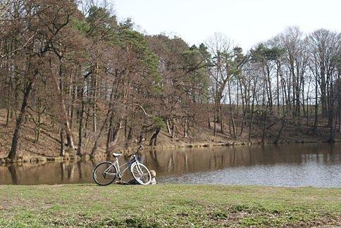 Rozlewisko/staw nad rzeką Mroga