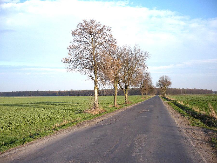 Chce się jechać