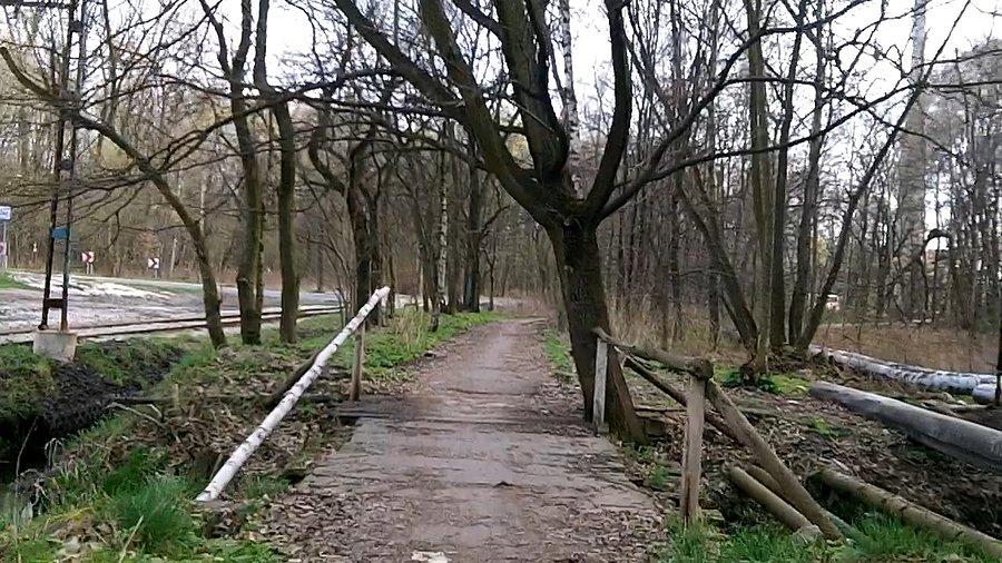 Mostek na potoku Bielszowickim w Makoszowach