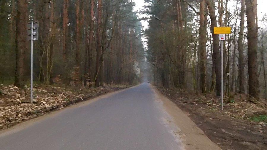 Wjeżdżam w las