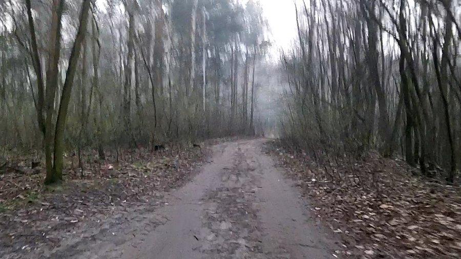 Już nie ma rowerzystów