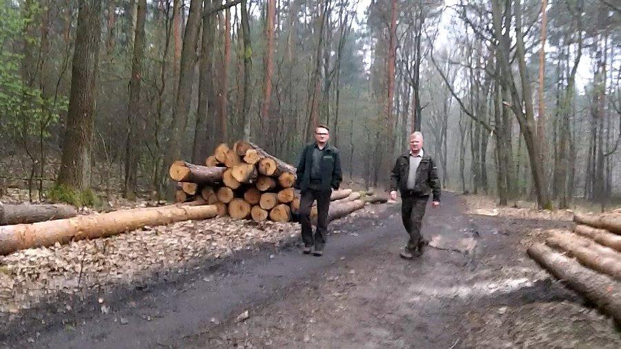 Leśnicy w pracy