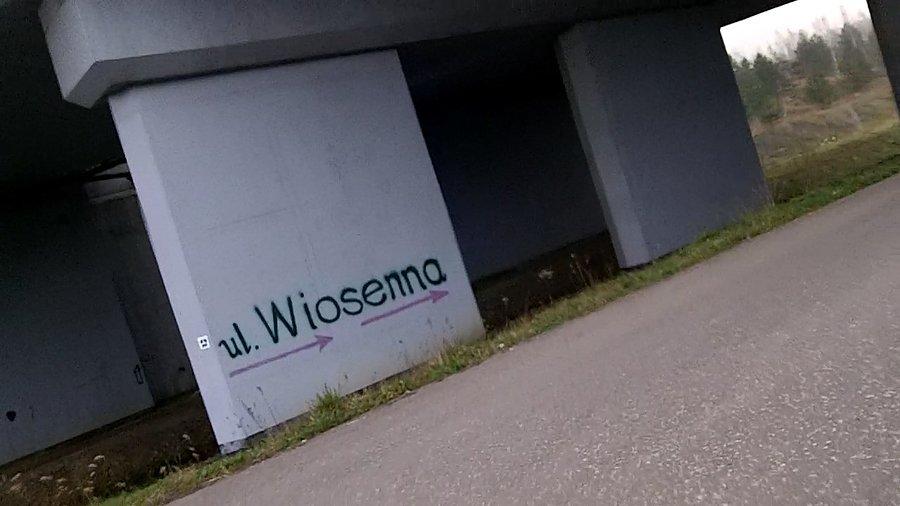 Kierunek Wiosenna :)