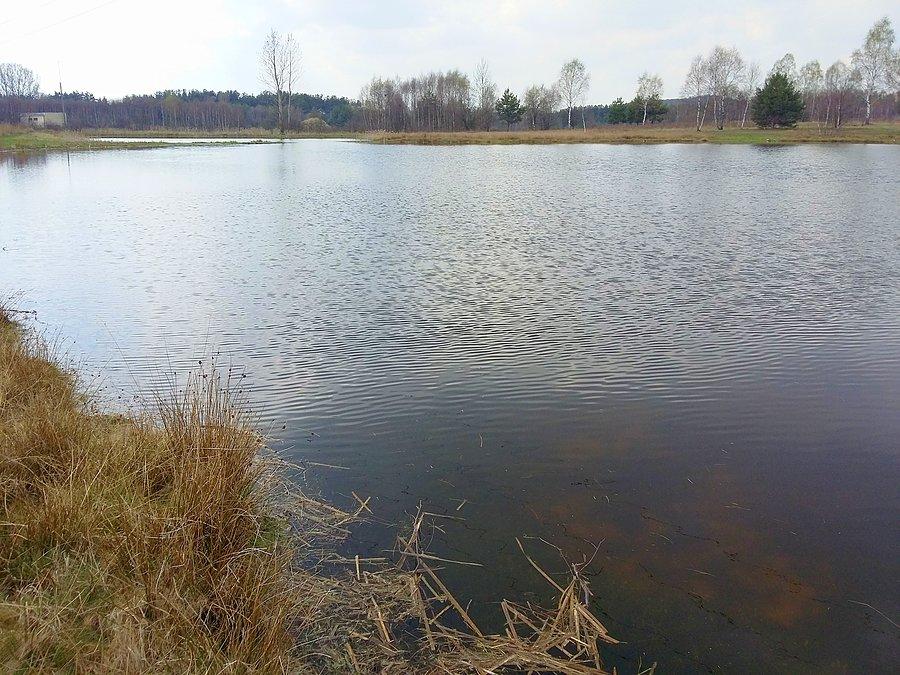 Jeziorko krasowe w Kusiętach