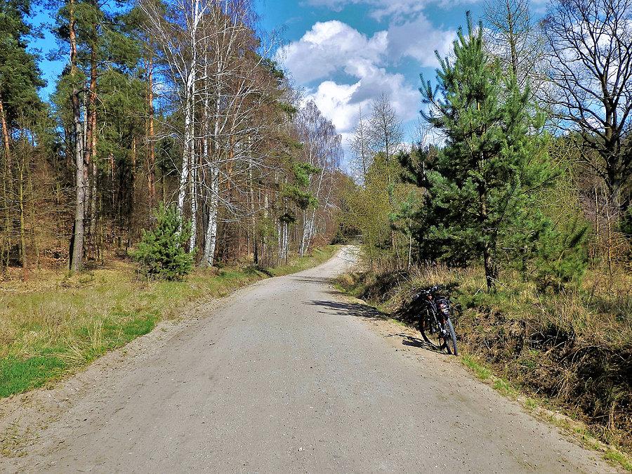Okolice Tczewa
