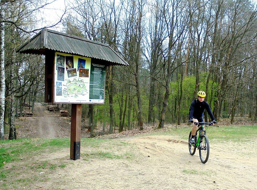 Dziewicza Góra