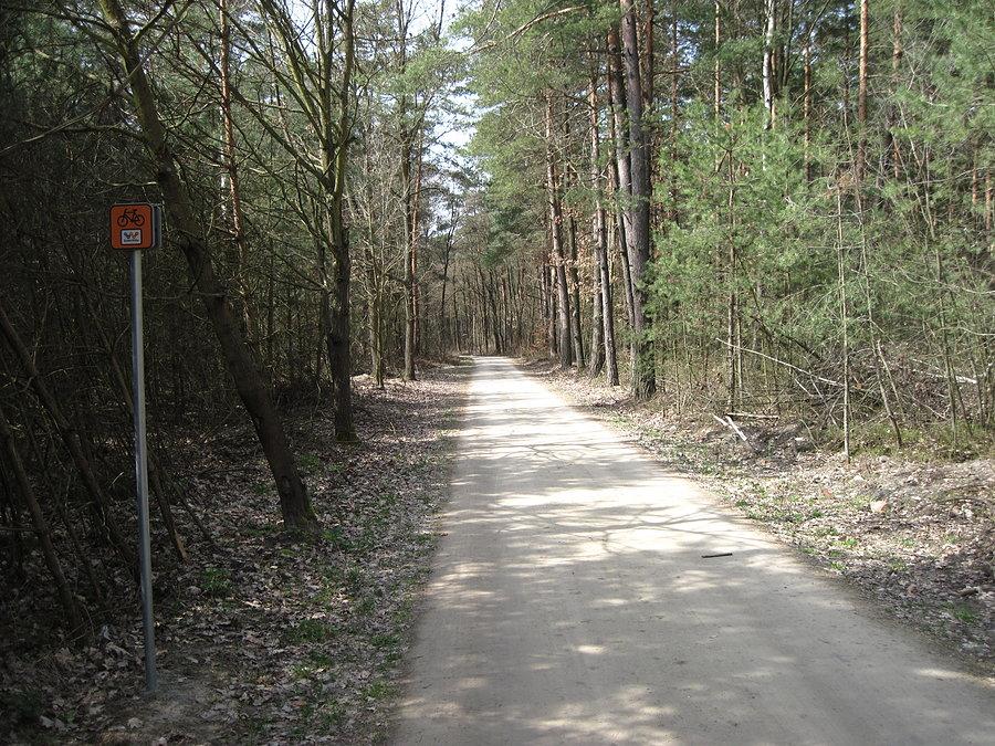 Green Velo przed Leżajskiem