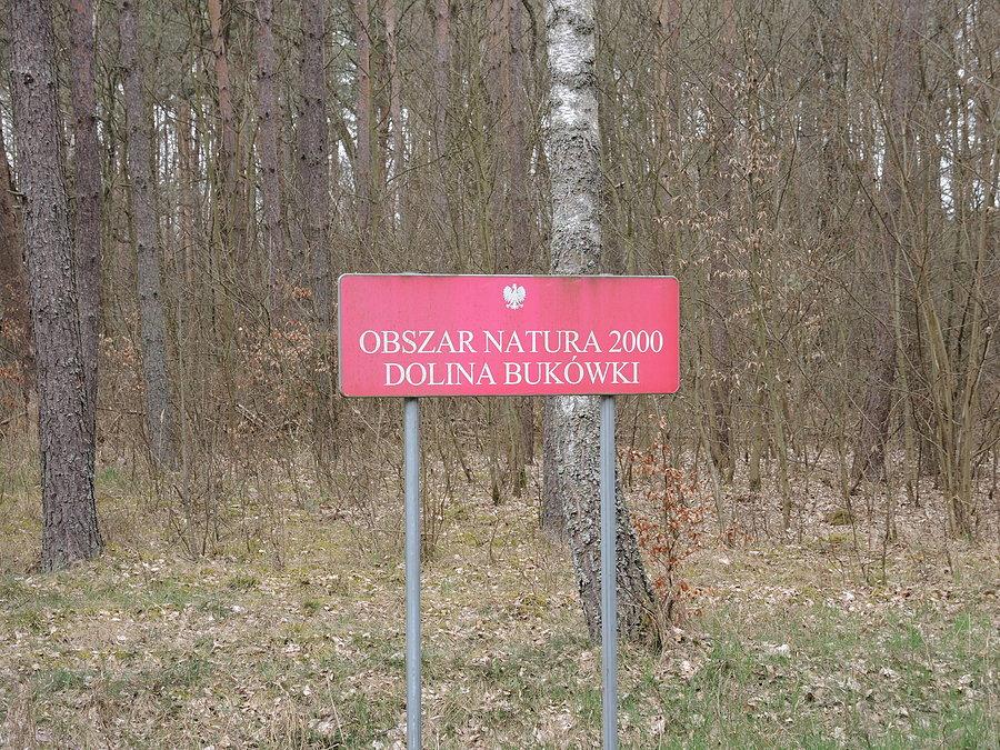 Dolina Bukówki na trasie Wieleń - Człopa