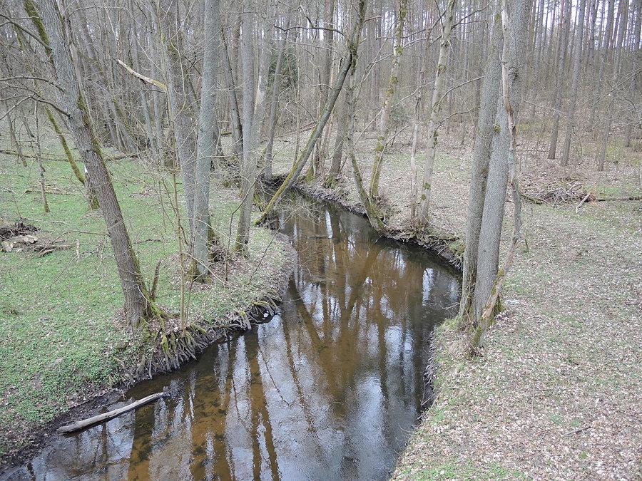 Rzeka Bukówka