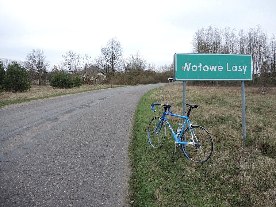 Wołowe Lasy - w drodze do Trzcianki