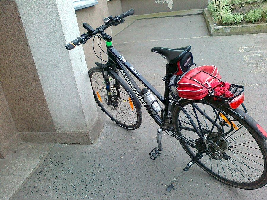 Czarnula na parkingu
