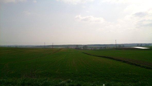 Pola niedaleko Neledwi