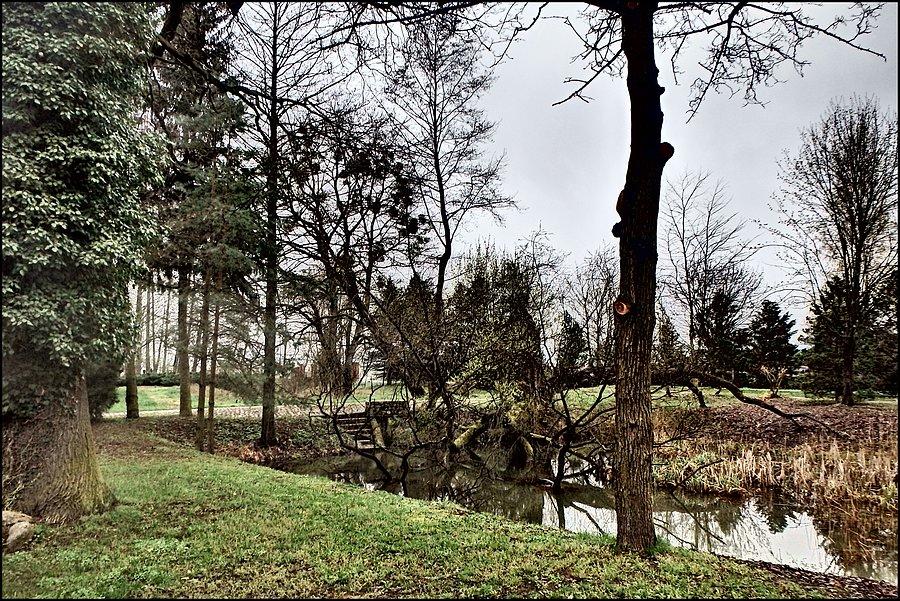 Pałacowy park