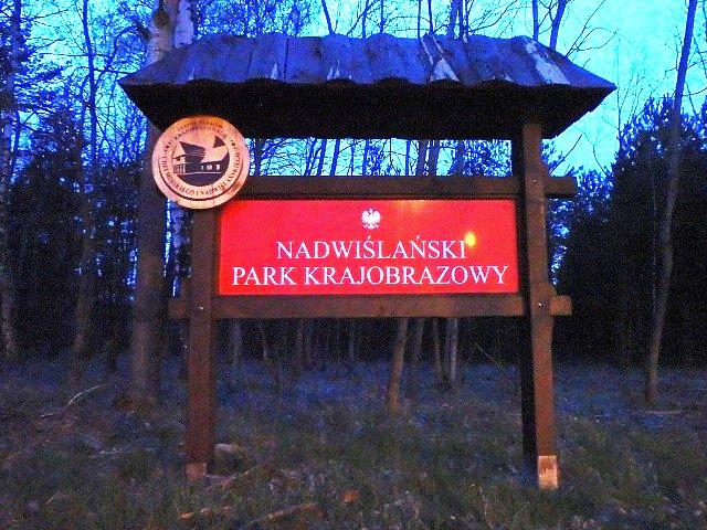 Na terenie Parku między Raciniewem a Dąbrową Chełmińską
