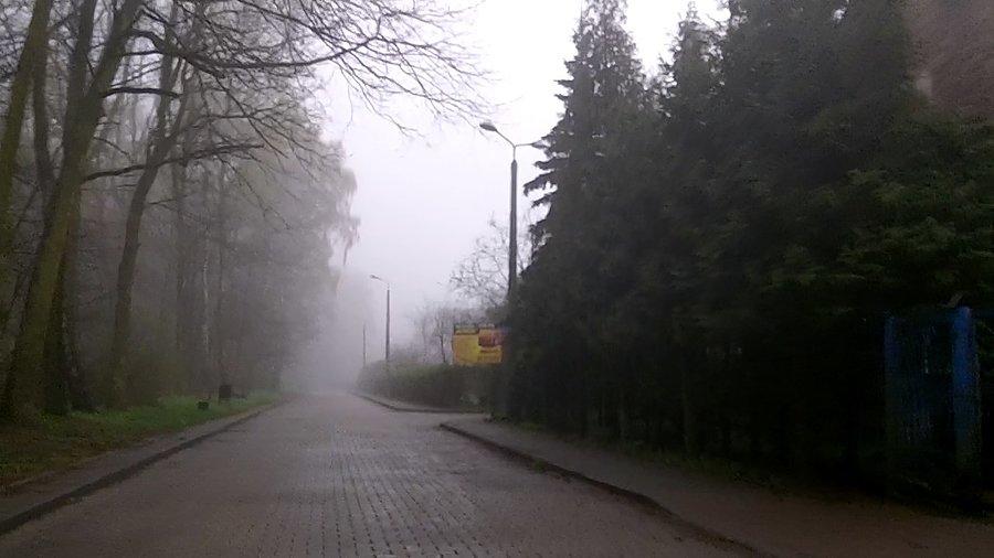 Wzdłuż lasku Makoszowskiego