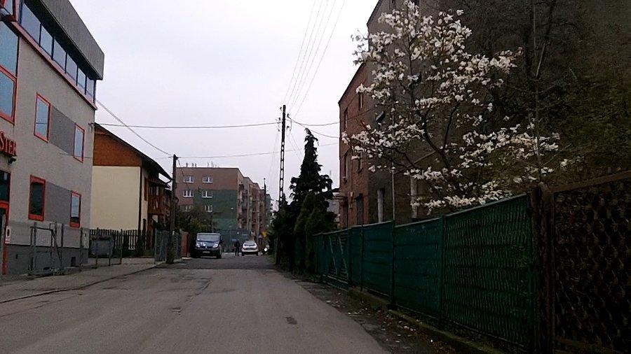 Ul Wilcza
