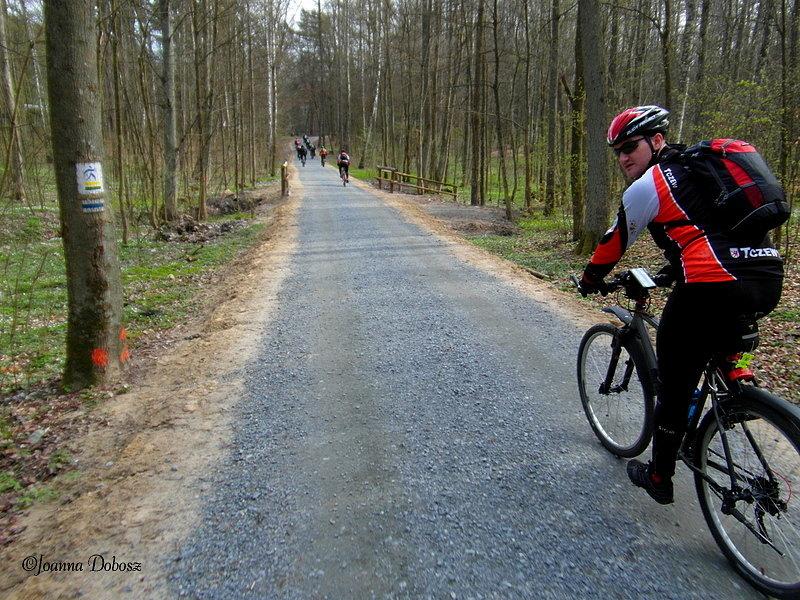 Na szlaku Green Velo- Bażantarnia w Elblągu