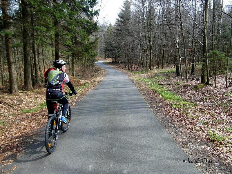 Na szlaku Green Velo- Elbląg - Frombork