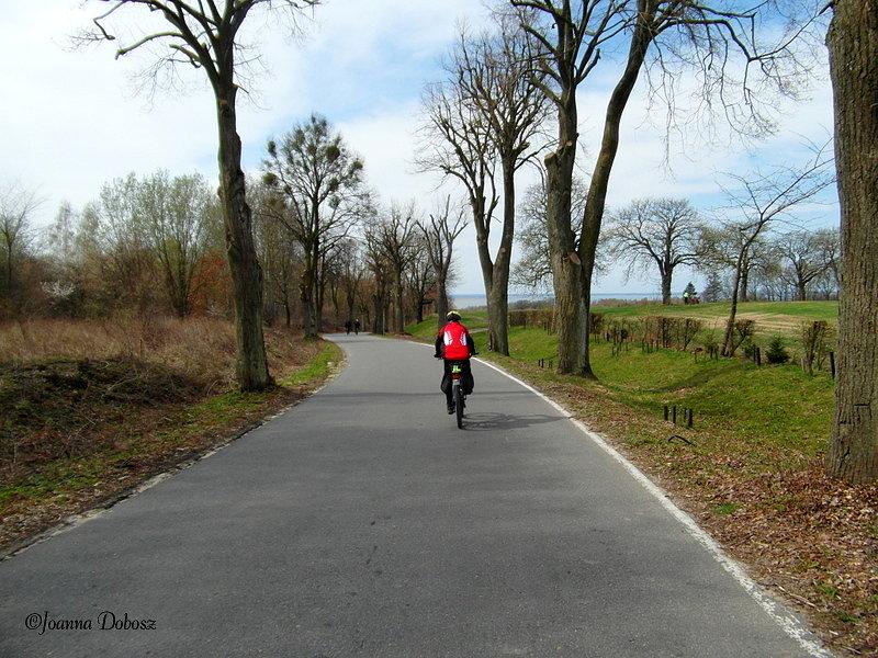 Na szlaku Green Velo- Elbląg - Frombork
