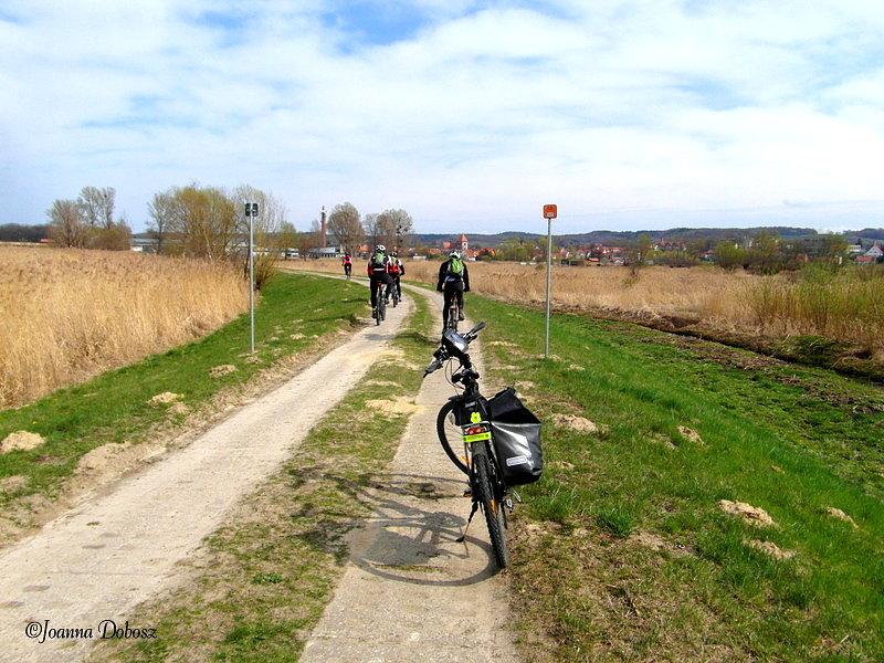 Na szlaku Green Velo- Elbląg - Frombork - w tle Tolkmicko