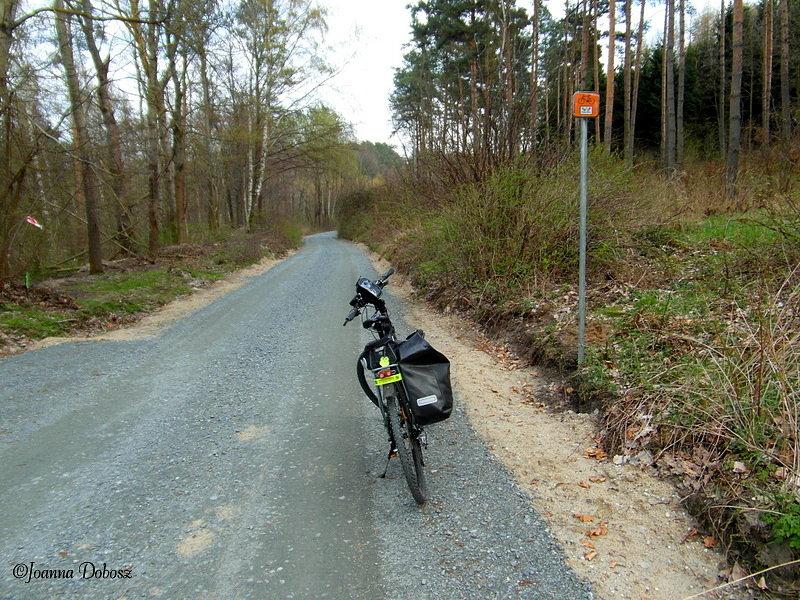 Na szlaku Green Velo- Elbląg - Frombork