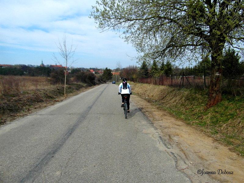 Na szlaku Green Velo- Elbląg - Frombork