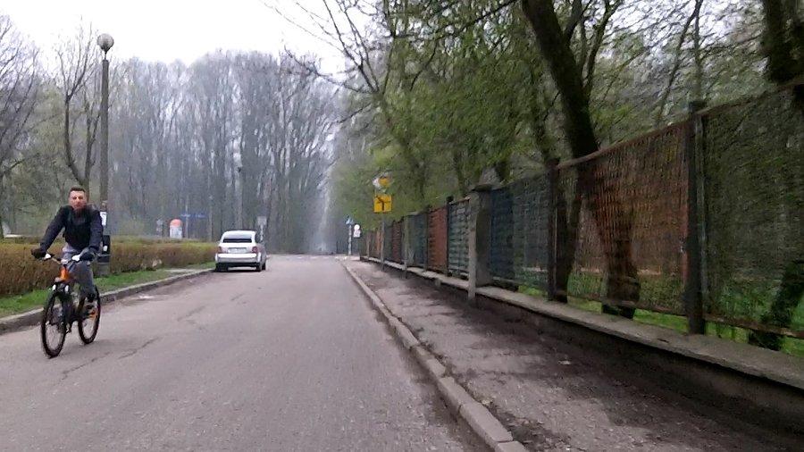 W pobliży lasku Makoszowskiego