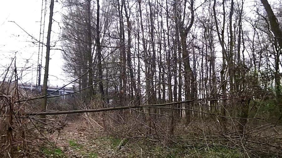 Szlaban... na ścieżce leśnej