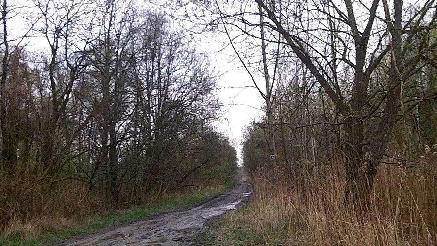 Niebieski szlak rowerowy... masakra jakaś