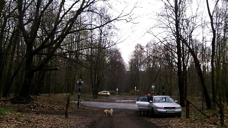 Na spacer z pieskami