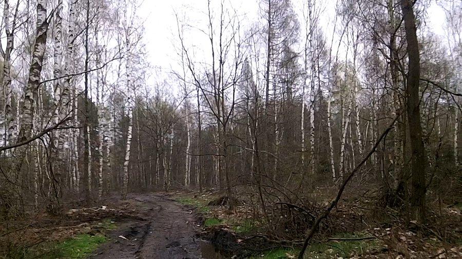 Szlak rowerowy... jakieś jaja