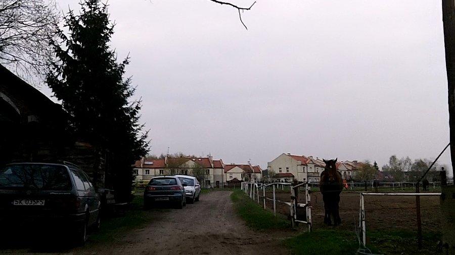 Jaki koń jest...