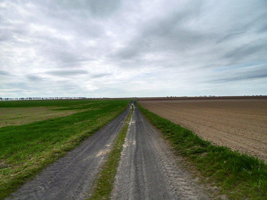 Droga z Dębicy do Wierzbna