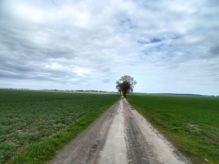 W drodze do Żalęcina