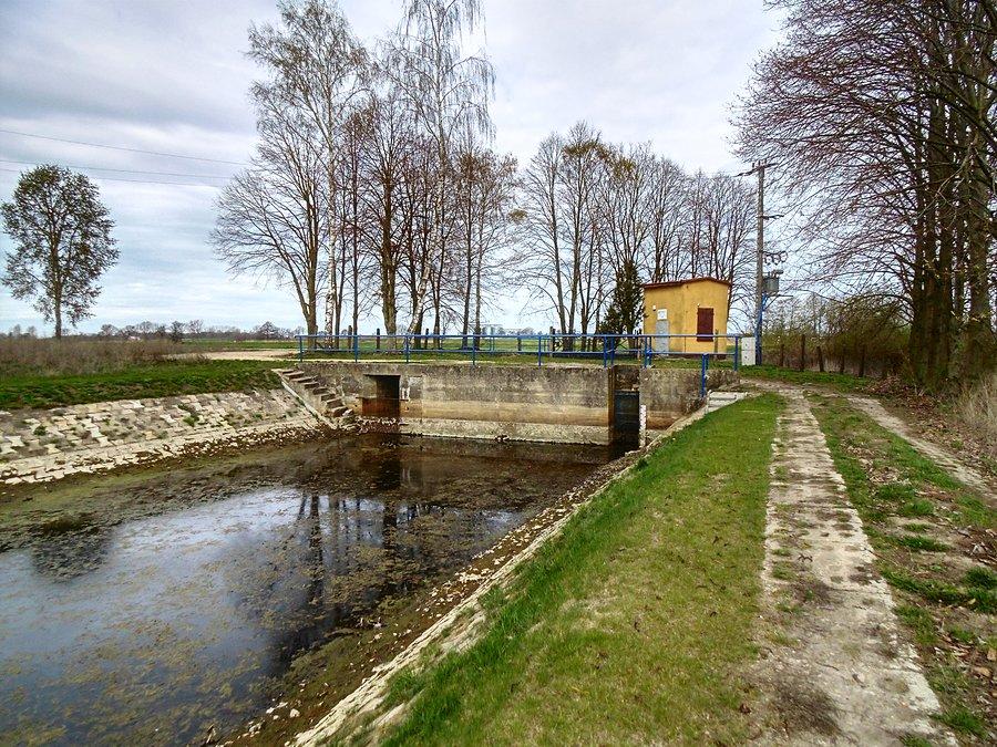 W drodze do Kolina