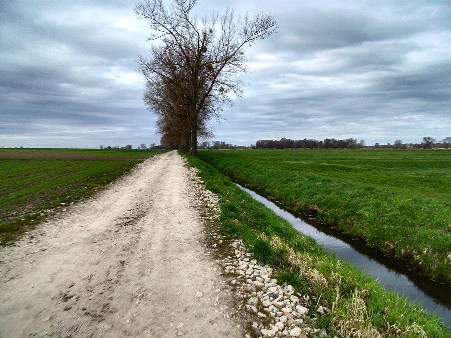 Już prawie w Kolinie