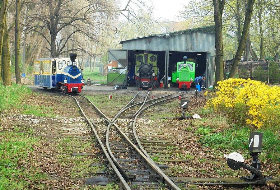 Poznański Tabor Wąskotorowy