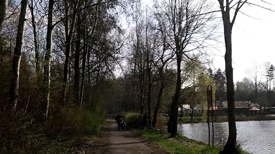 Staw Janina