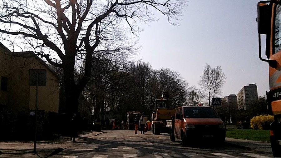 Znaleźli sobie idealne miejsce na wykopki