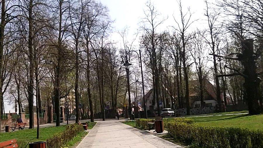 Na alejkach