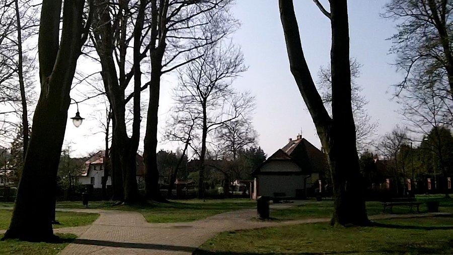 Miasto ogród
