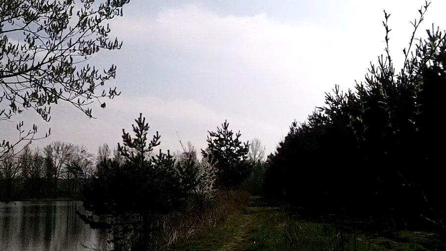 Nad Boliną... - jest trochę błota